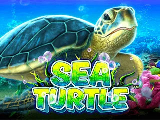 Sea+Turtle png