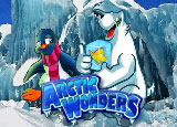 Arctic+Wonders png