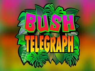 Bush+Telegraph png