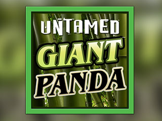 Untamed+-+Giant+Panda png