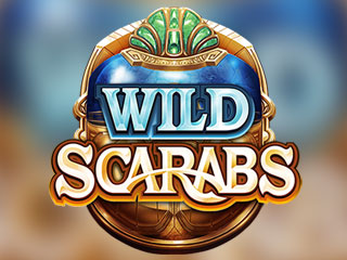 Wild+Scarabs png
