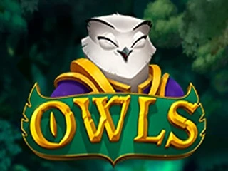 Owls png