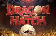 Dragon+Hatch png