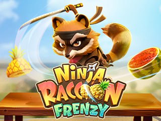 Ninja+Raccoon+Frenzy png