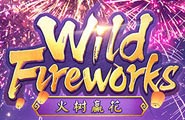 Wild+Fireworks png
