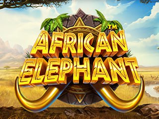 African+Elephant png