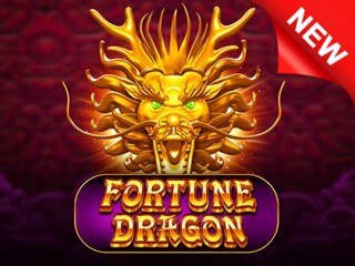 Fortune+Dragon+PP png
