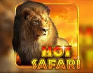 Hot+Safari png