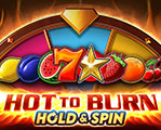 Hot+To+Burn+Hold+And+Spin png