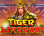 The+Tiger+Warrior png