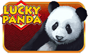 Lucky+Panda png