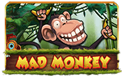 Mad+Monkey png