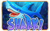 Shark%21 png