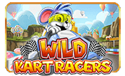 Wild+Kart+Racers png