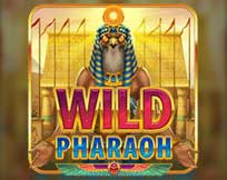 Wild+Pharaoh png