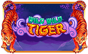 Wild+Wild+Tiger png